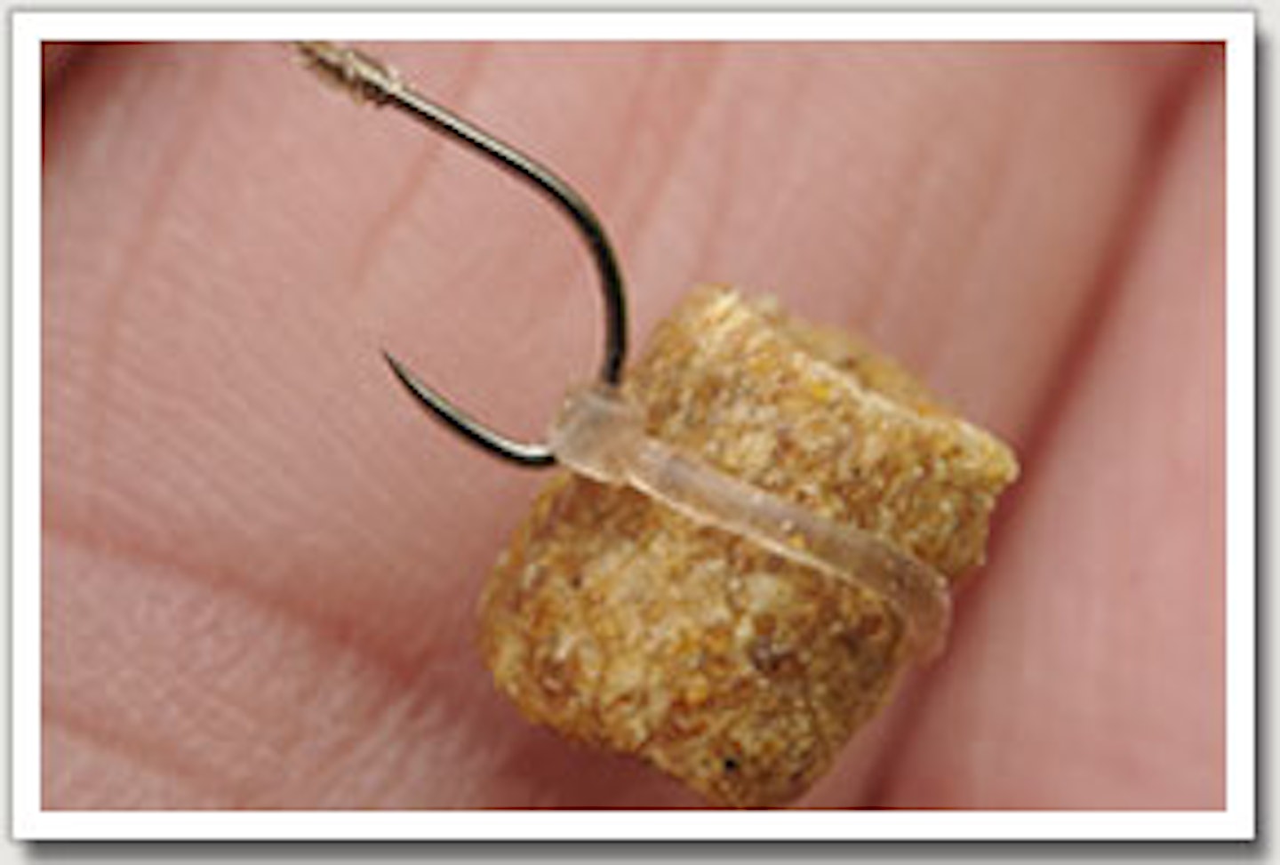 HOW TO FISH THE PELLET WAGGLER Angling Times